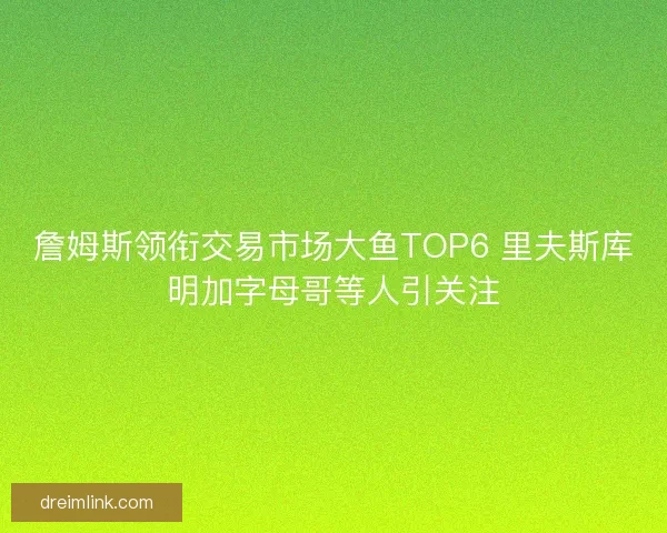 詹姆斯领衔交易市场大鱼TOP6 里夫斯库明加字母哥等人引关注